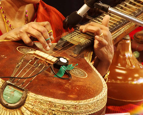 Veena